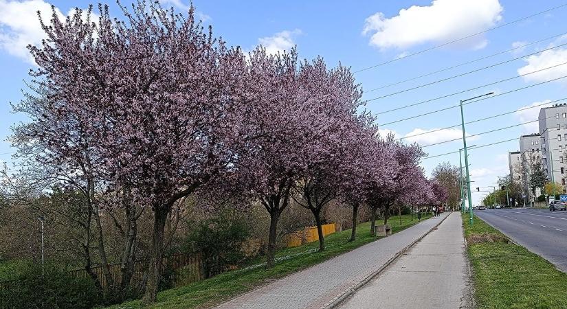Lassú, fokozatos melegedés kezdődik