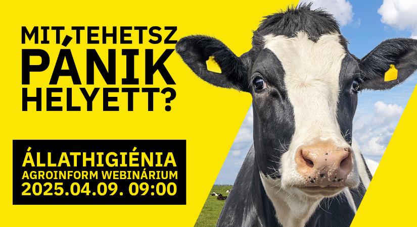 Mit tehetsz pánik helyett? Állathigiénia Agroinform webinárium