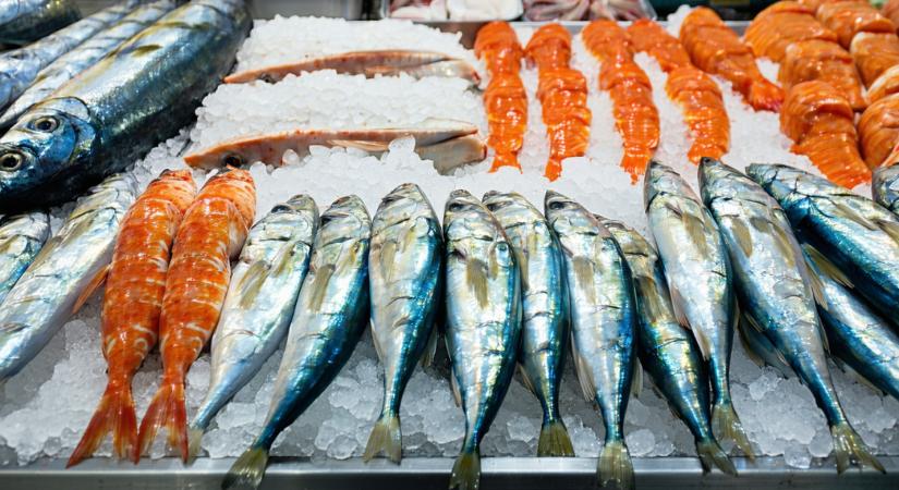 Kiderült, hogy változik a kiskereskedelem az adriai régióban