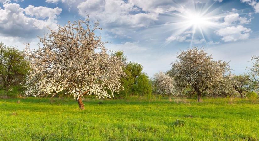 A szánkók letehetik a „hóváró” ügyeletet – tavaszi frissességet hoz a szerdai nap
