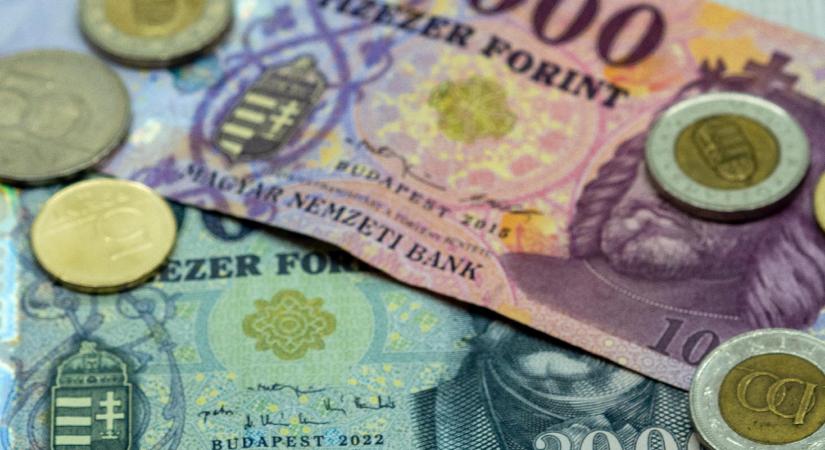 Máltai Szeretetszolgálat: ezer kisgyermekes család részesült 120 ezer forint értékű támogatásban