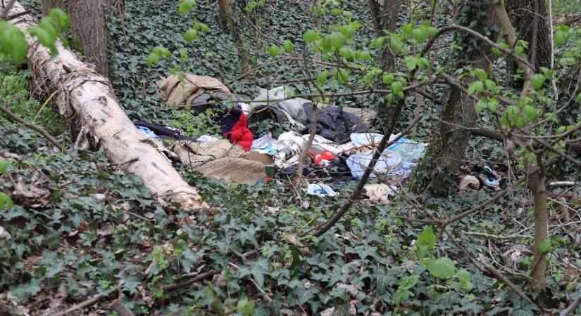 Titkos, illegális szeméttelepet épít egy hajléktalan az ártéri erdőben Makónál –videóval