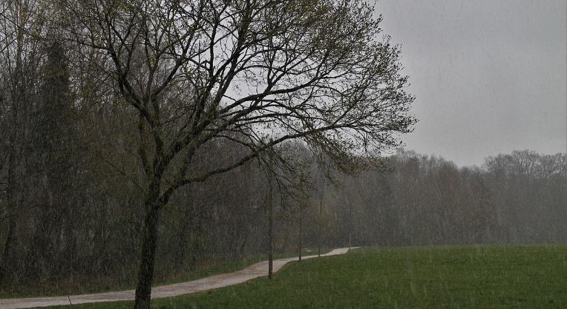 Erős szélre, havazásra és ködre figyelmeztetnek Hargita megyében