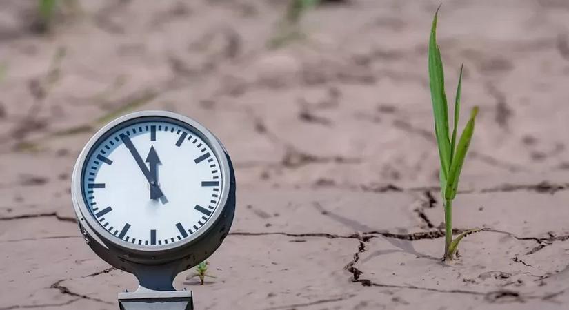 A klímaváltozás hatása a mezőgazdaságra és az élelmiszerárakra