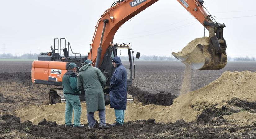 Csemeztanyai dögtemető: bugyog a véres massza, forrnak az indulatok, nagy bajban a videó készítője