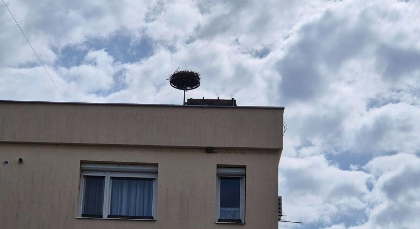 Berettyóújfalu újdonsült sztárja hazatérhet