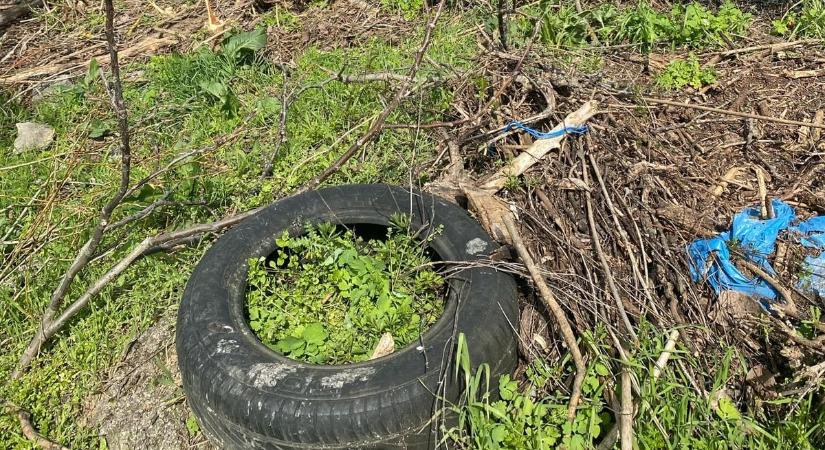 Tisztítási munkálatok zajlanak az Evezős úton – nem építkezés kezdődött!