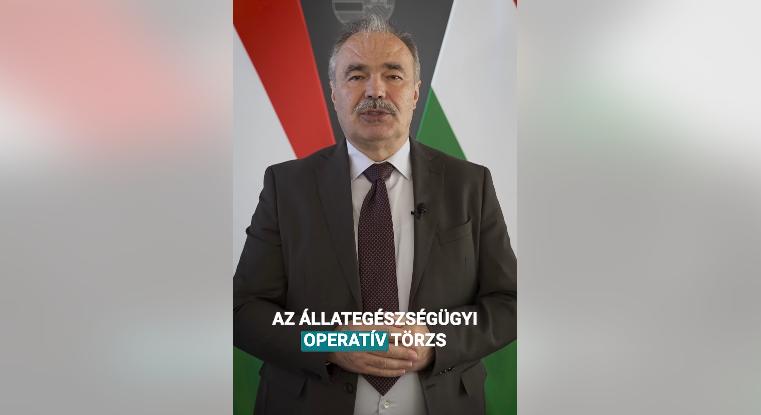 Továbbra sincs RSZKF kitörés, eredményes a védekezés