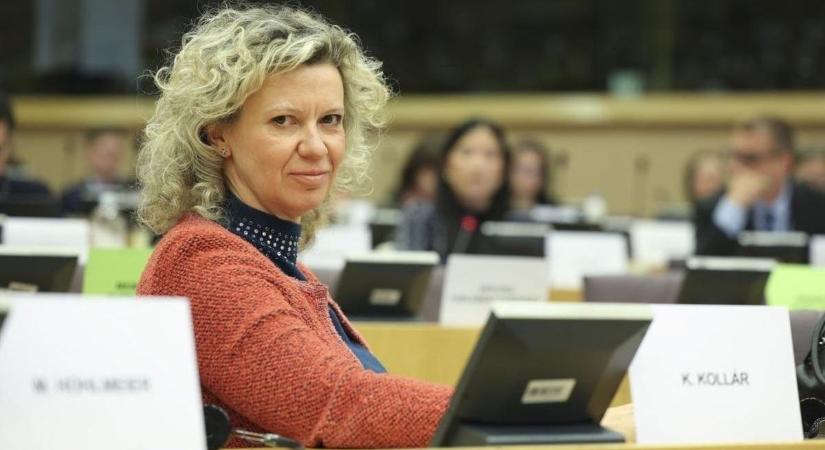 Azt hiszem, itt az alkalom, hogy igazat adjunk a főnöküknek, miszerint ezek agyhalott Soros-ügynökök