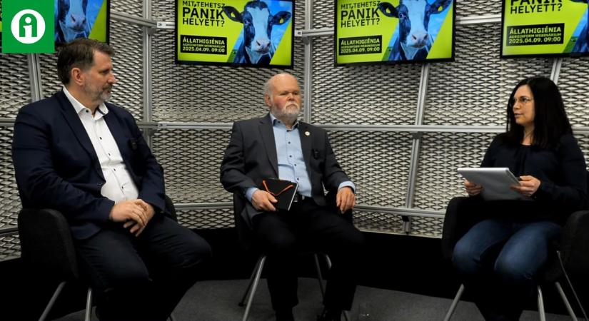 Egészséges (?) állatok leölése, temetetlen tetemek – itt vannak a válaszok!