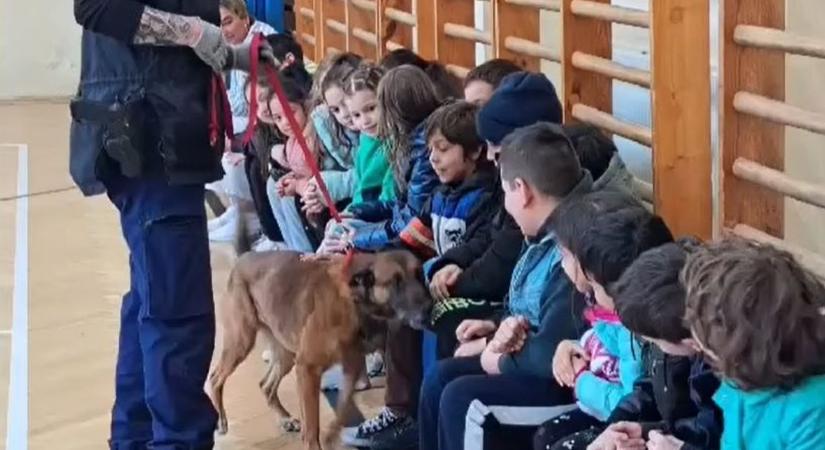 Bombakereső kutya járt az esztergomi iskolában videó