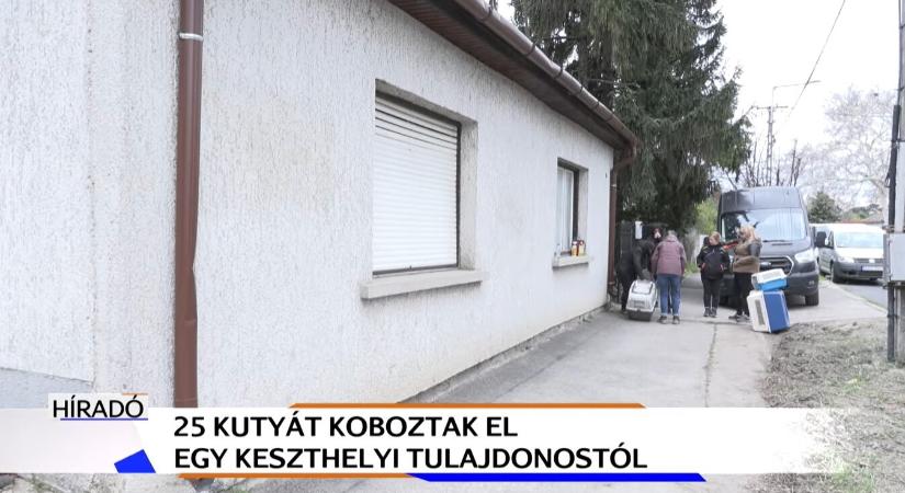 25 kutyát koboztak el Keszthelyen