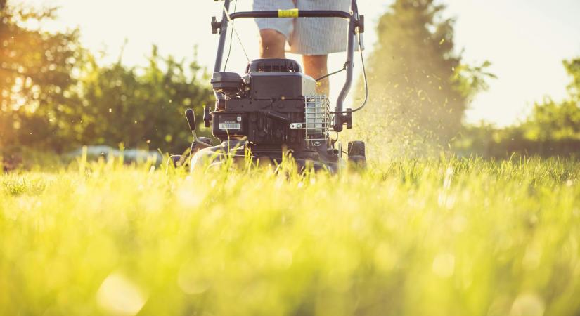Milyen fűnyírót vegyek? Összegyűjtöttük a legjobbakat!