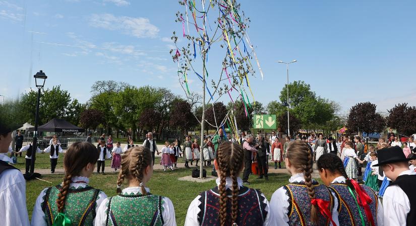 Majális a Bókay-kertben 2025