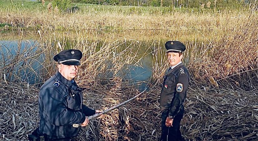 Hídról ugrott a Keletibe, a rendőrök és a tűzoltók hősiesen mentették meg a bajba jutott nőt