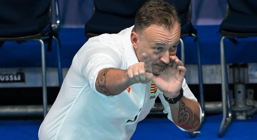 Kocsik, labdák, ketrec - sport a tévében
