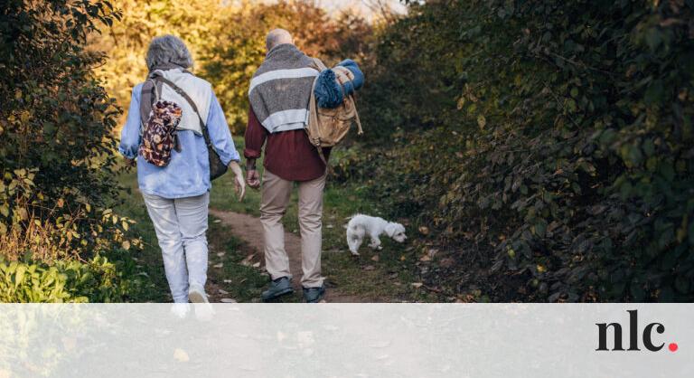 Az 5 legjobb kutyafajta időseknek