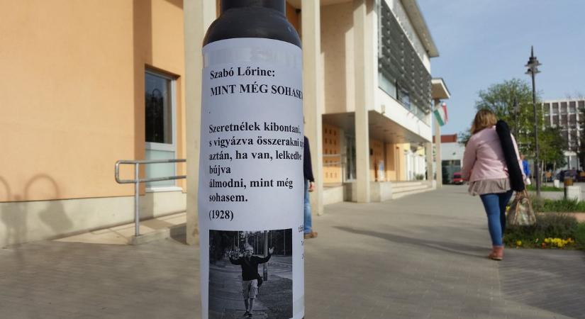 Magyar Költészet Napja: így is lehet ünnepelni (fotó)