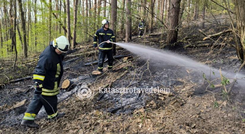 Öt rajnyi tűzoltóra volt szükség Zalában a lángok elfojtásához