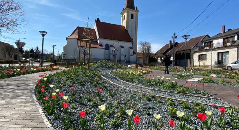 Egy új közösségi tér születése – Hajós szoborral és virágzó parkkal gazdagodik a város – Fotók, videó