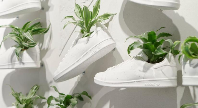 Gombából készít vegán cipőkollekciót az Adidas
