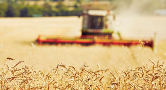 Még jobban beszáll az agrárfinanszírozásba az MBH