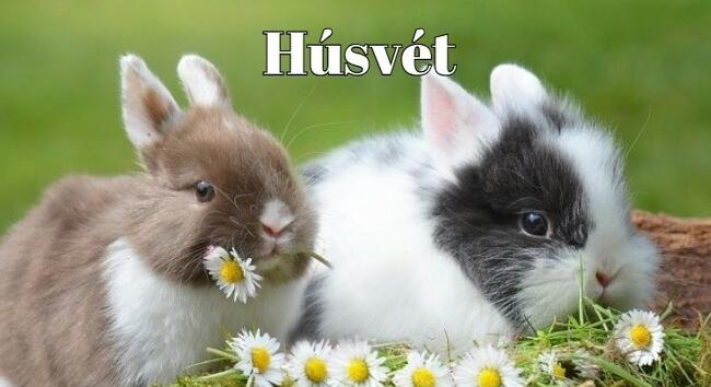 Húsvét - Virágvasárnap, nagyhét, nagypéntek és húsvét - 2025. évi húsvéti összefoglaló