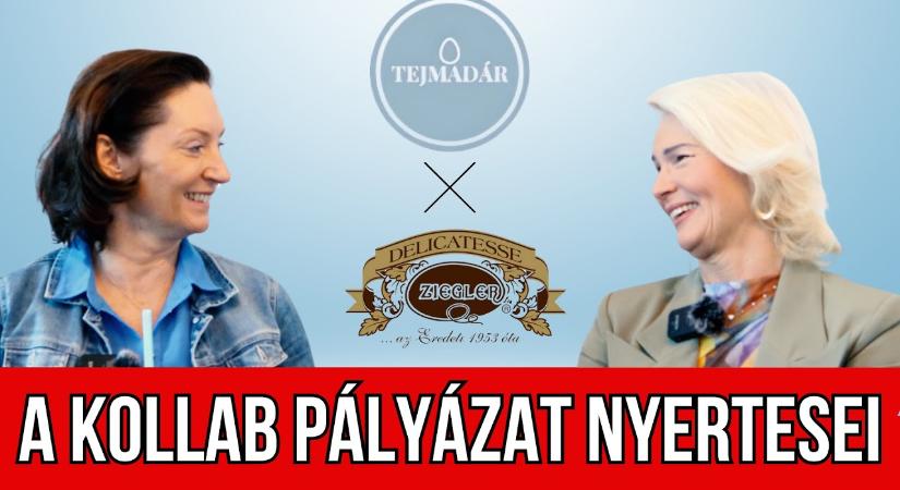 A KOLLAB fődíjasok: Madártejes ostya. Tejmadár X Ziegler