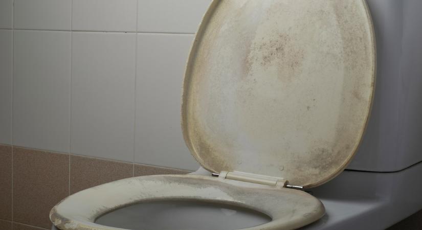 Hihetetlen, de igaz: a vécé lehúzása miatt süllyedt el egy német tengeralattjáró