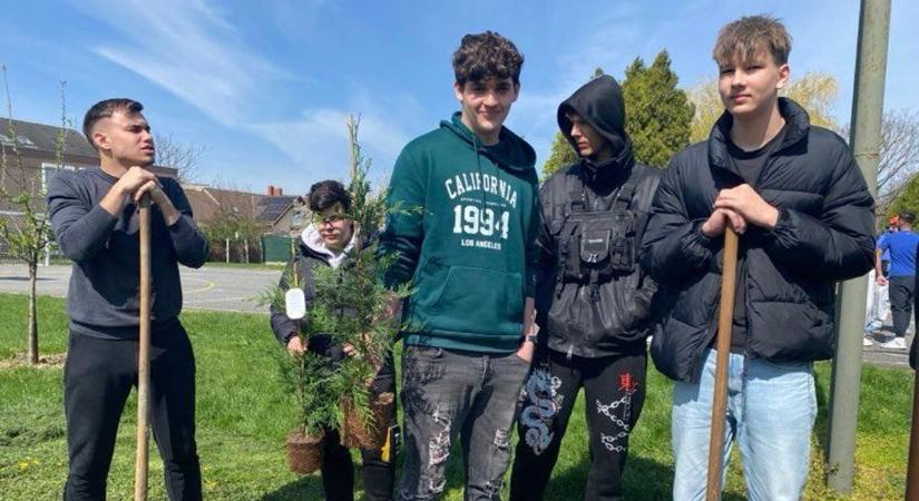 Örökzöldeket ültettek a csornai Kossuth iskola diákjai