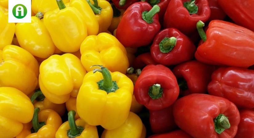 Paprikás a helyzet! – Jelentős áremelkedés jellemzi kedvenc zöldségfélénket