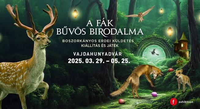 A FÁK BŰVÖS BIRODALMA – BOSZORKÁNYOS ERDEI KÜLDETÉS – interaktív kiállítás a Vajdahunyadvárban