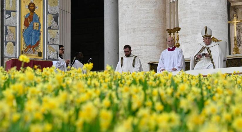A nagyhéten színes virágok ezrei díszítik a Szent Péter-teret