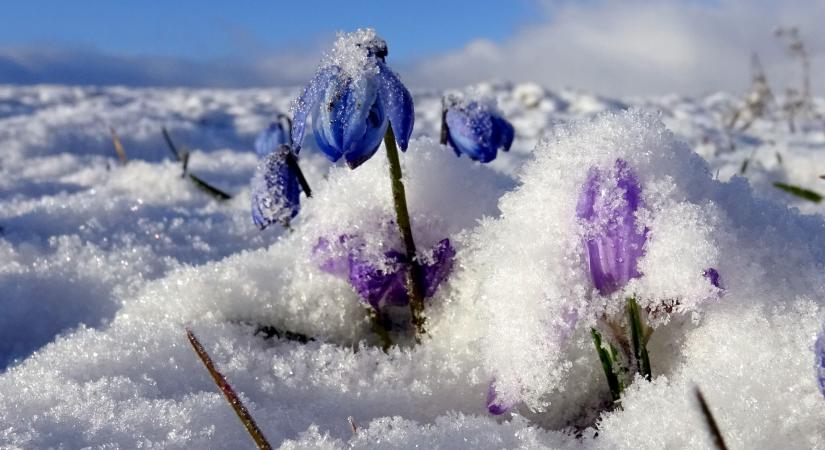 Súlyos fagy pusztított Törökországban – Egyes régiókban -15 Celsius-fok alá süllyedt a hőmérséklet