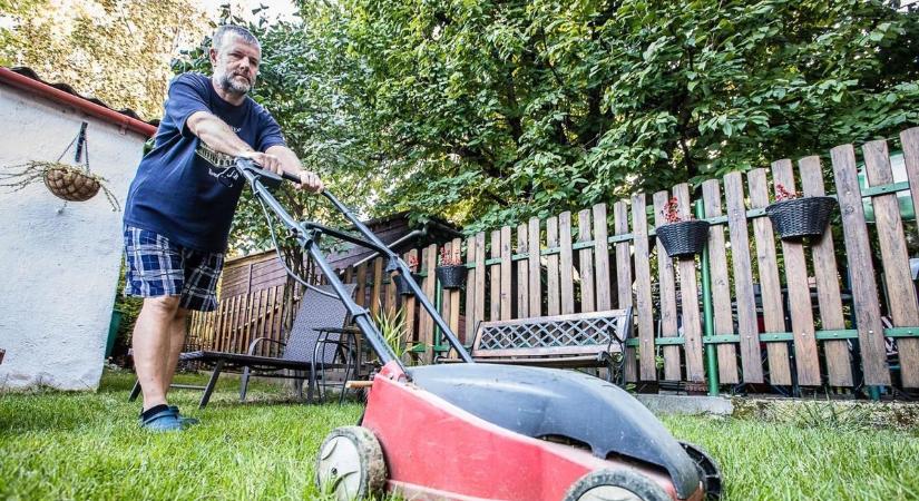 Fűnyírás és fűkaszálás vasárnap? – Ennek egyszer és mindenkorra vége!