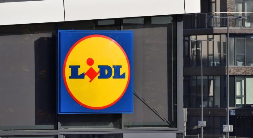 A gyerekek imádják: csak 20 ezer forintba kerül a Lidl népszerű kerti játéka
