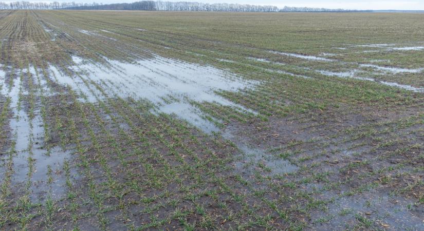 Figyelmeztet az Agrárminisztérium: sokat bukhat, aki ezt elmulasztja