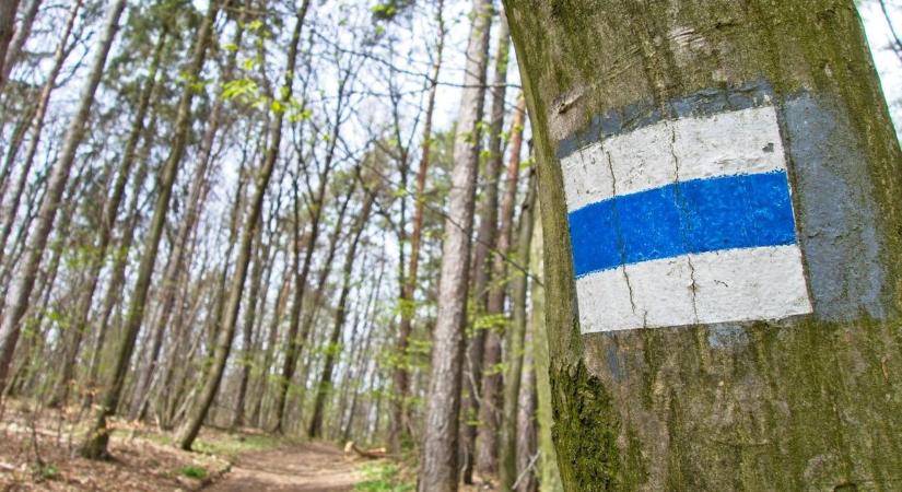 Több túrázó is lezuhant és megsérült vasárnap a hegyeken