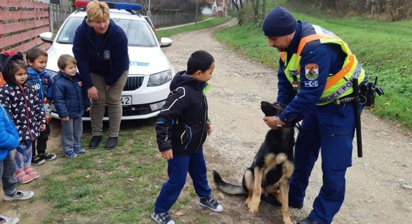 Roma bűnözés nem létezik
