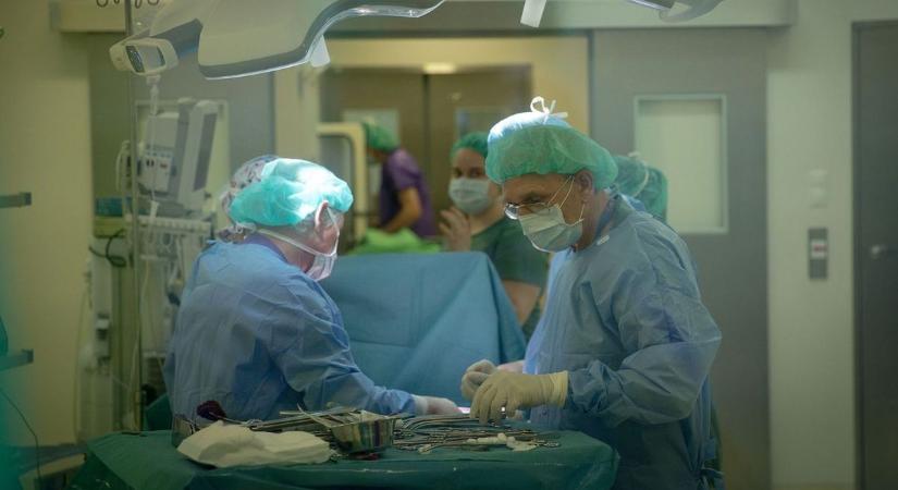 Tragédia árán kaphat esélyt egy másik család! Tudtad? Ezt kell tenned, hogy szervdonor lehess halálod után