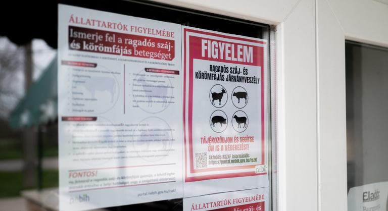 Ausztria enyhíti a ragadós száj- és körömfájás miatti behozatali korlátozásokat