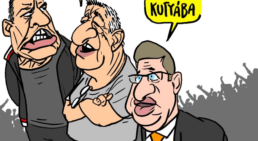 Magyar szürke