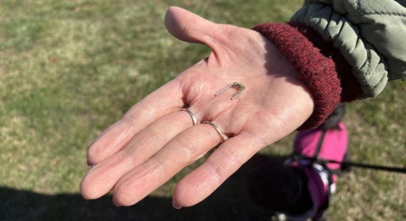 Felfoghatatlan! – Egyre gyakoribb az állatkínzás a vármegyében
