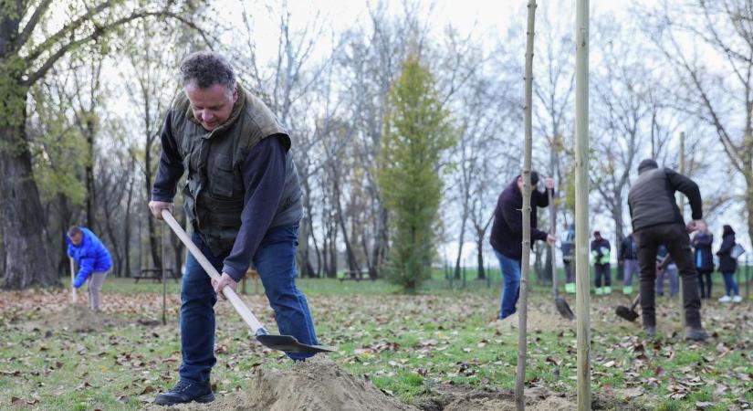 Területszépítésre hívnak a Csapókertbe