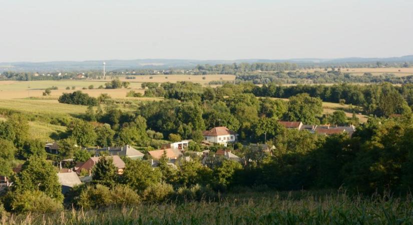 Mégsem épül lomkoronasétány Zalában, pedig már 120 milliót elköltöttek a tervekre