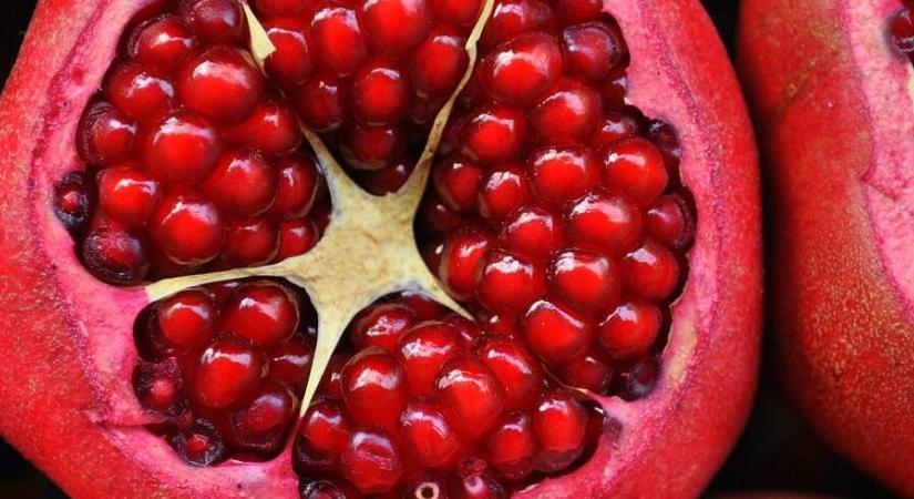 Gránátalma átültetése: a tartós termés titka