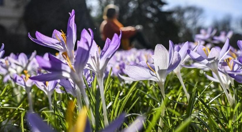 Hőhullámok, forróság, aszály – ilyen lesz a nyár
