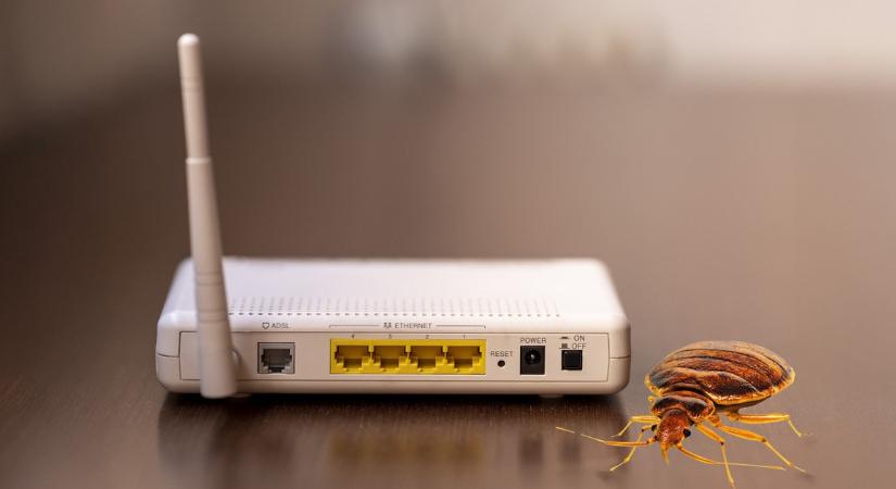 Kiindulhat ágyipoloska-fertőzés a bérelt internetes routerből? Itt a válasz