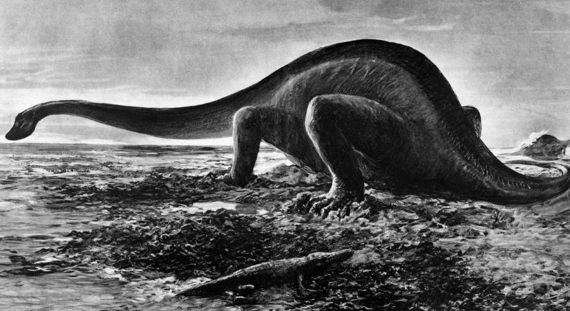 Tojásain kotló dinoszaurusz megkövesedett maradványait tárták fel Kínában