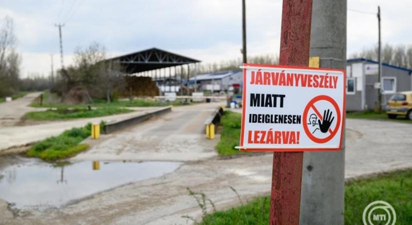 Befejeződött a Darnózselin és Dunakilitin ragadós száj- és körömfájással fertőzött telepek felszámolása